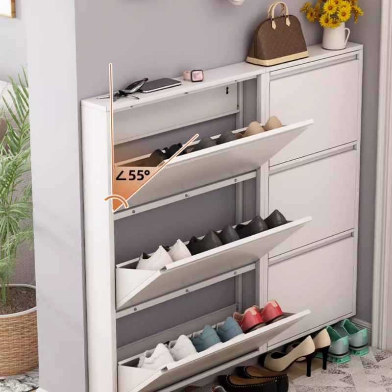 Modern Slim Shoe Cabinet, Larg - Shoe Rack Cabinet Narrow Entryway review and price