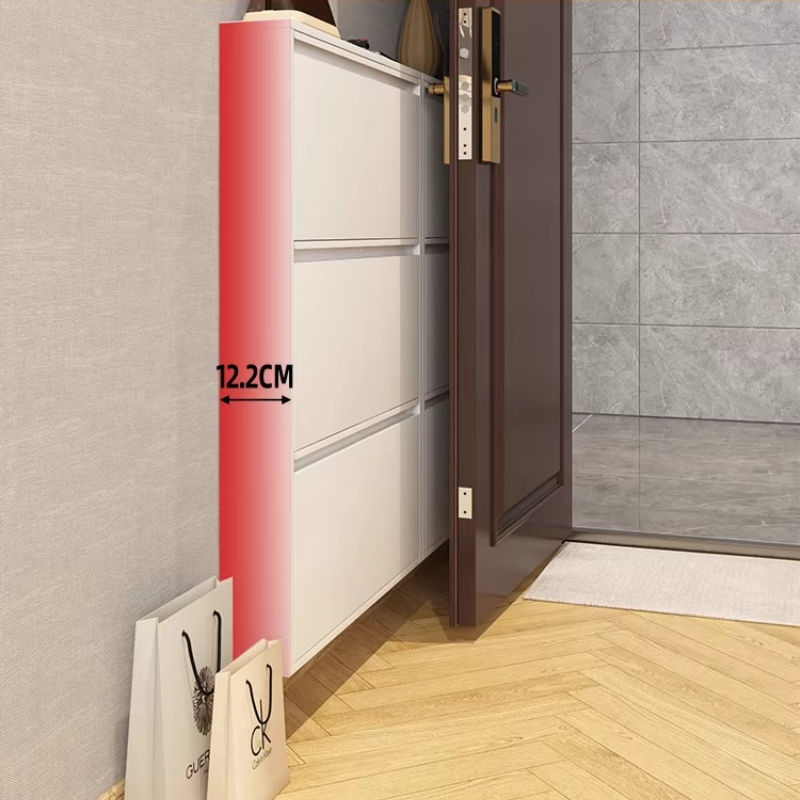 Modern Slim Shoe Cabinet, Larg - Shoe Rack Cabinet Narrow Entryway review and price